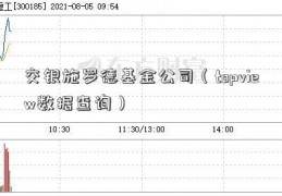 交银施罗德基金公司（topview数据查询）