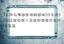 [上市公司都会有股票吗]什么是0001基金净值？基金净值百分比什么意思