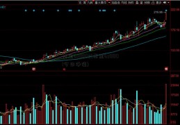 基金630002(基金630001今日净值)