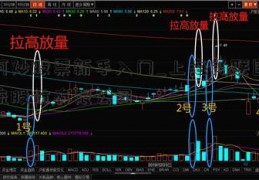 如何炒股票新手入门_上海畅联国际物流股份有限公司