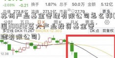 苏州产业基金管理有限公司怎么样(国300212英大产业投资基金管理有限公司)