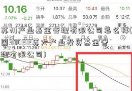 苏州产业基金管理有限公司怎么样(国300212英大产业投资基金管理有限公司)