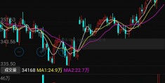 中国股市入msci(鲁俊)鲁俊