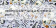 国民技术股票分析(国民技术技股票股吧)