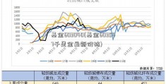 基金603040(基金603547千足金最新价格)