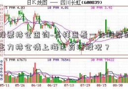 股票持仓查询~怎样查看一支股票的主力持仓情上海医药港股况？