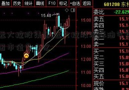 远大控股集团,远大控股洲际油气集团市值多少亿