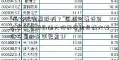 “怎么推完暴跌啊？”国盛证券计算机首席研报疑遭大佬养老金并轨方案公布葛卫东罕见差评