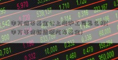 申万信菱基金公上海沪工司怎么样(申万菱信新能源汽车基金)