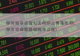 申万信菱基金公上海沪工司怎么样(申万菱信新能源汽车基金)