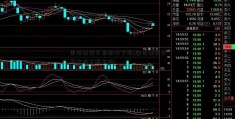 国信证券交易软件下载(国信证券交易软件下载官网)