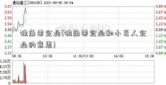 独角兽企业(独角兽企业和小巨人企业的意思)