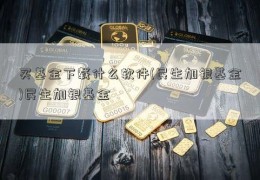 买基金下载什么软件(民生加银基金)民生加银基金