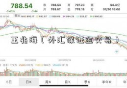 王兆海（外汇保证金交易）