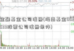 金融基金公司注册(海南基金002533股票公司注册条件)