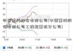 中联重科股份有限公司(中联重科股份有限公司工程起重机分公司)