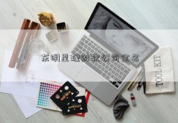 东明星理财软公司全名