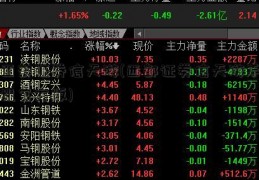 西部证券信天游(西部证券信天游手机官方版)