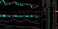 股东大会（Shareholders&#039; Meeting）：企业决策的最高权佛山照明股票力机构