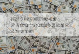 2020年8月600549股吧新发基金哪个好(2022年最近新发基金哪个好)