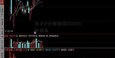 关于21中国国航60111164的信息