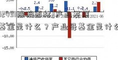 [002431棕榈园林]产业发展的基金是什么？产业母基金是什么意思