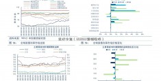 武汉中商（603833预测涨停）