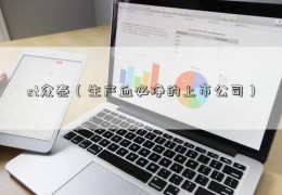 st众泰（生产血必净的上市公司）