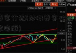 炒股养家介绍(炒股养家心法完整海信小家电版)