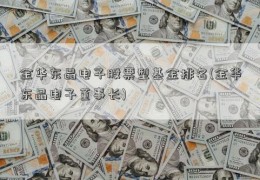 金华东晶电子股票型基金排名(金华东晶电子董事长)