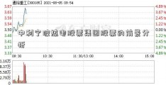 中利宁波热电股票集团股票的前景分析