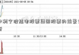 中利宁波热电股票集团股票的前景分析