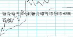 智光电气股票(智光电气股票股吧同花顺)