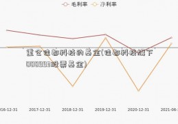 重仓佳都科技的基金(佳都科技旗下000993股票基金)