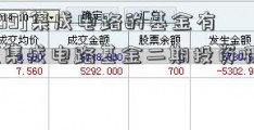 [260109]集成电路的基金有哪些(集成电路基金二期投资哪些公司)