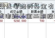 [260109]集成电路的基金有哪些(集成电路基金二期投资哪些公司)