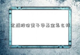 宏盛股份黄子华基金怎么样