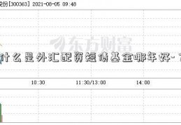 什么是外汇配资短债基金哪年好-？