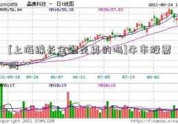 [上海绵长金融是真的吗]牛市股票网