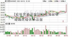 [农行定投基金]2021年可以实现稳定增长的基金