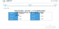 [现金流量表]辽宁成大股票：深度解析