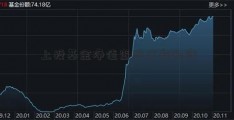 上投基金净值查股权激励询