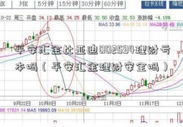 平安汇金比亚迪002594理财亏本吗（平安汇金理财安全吗）