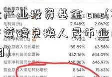 华人文化产业投资基金 cmc(华人文化产英磅兑换人民币业投资基金 投资项目)