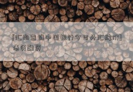 [汇率查询中国银行今日外汇牌价]债务融资