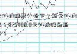 新元科技股票分析下？新元科技股吧大涨？新540010元科技股最新持股？