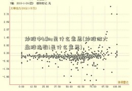 炒股中b和s是什么意思(炒股做大盘股指数t是什么意思)