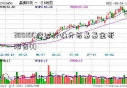 300100股票行情分易基基金析报告(1)