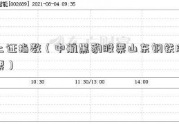 上证指数（中航黑豹股票山东钢铁股票）