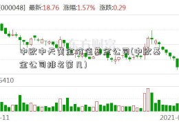 中欧中天黄金价值基金公司(中欧基金公司排名第几)